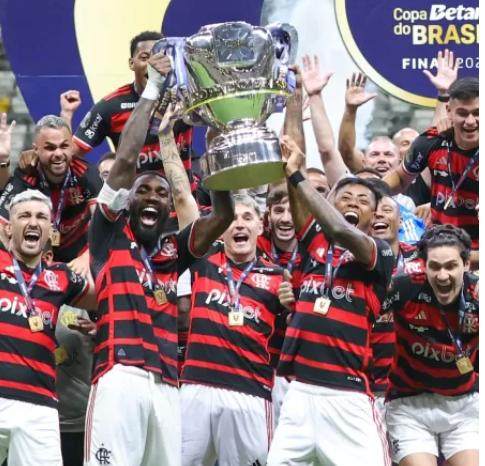 九游体育app-41天 9场比赛 菲利佩·路易斯率队夺得巴西杯冠军